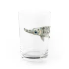 恒福水路のガーパイク（スポテッドガー）グラス Water Glass :left