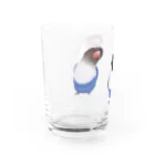 happybirdのとり二ティグラス Water Glass :left