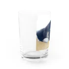 小豆のこまめくん Water Glass :left