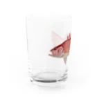 Coshi-Mild-Wildのノドグロ　ですヨ‼️ Water Glass :left
