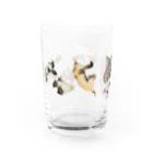 ごまわさびの銀子お嬢 Water Glass :left