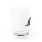 きなこのおはぎグマ Water Glass :left