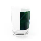 ﾛｯﾄﾓｰﾝﾄのつぼみ Water Glass :left