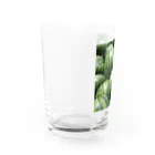 くまくま農園のすいかゴロゴロ Water Glass :left