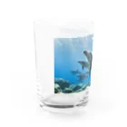 BLUE DOLPHINのLove Dolphin 4 Water Glass :left