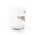 脂身通信Ｚのお刺身_さより Water Glass :left