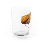 脂身通信Ｚのローストチキン_2112 Water Glass :left