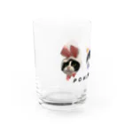 パワーSHOPのハチワレ猫のパワー Water Glass :left