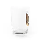 猫カフェ ぶぅたんグッズショップの絵文字ミロくん Water Glass :left