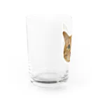 猫カフェ ぶぅたんグッズショップの絵文字マビくん Water Glass :left