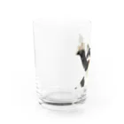 月之丞の庭の月之丞ばんにゃ～い Water Glass :left