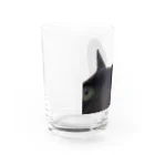 nya nya*のドアップねこ Water Glass :left