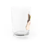 コンドーショップのシャトーブリアン猫 Water Glass :left