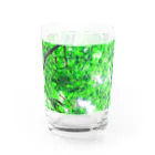 fée de la roseのVert frais Water Glass :left