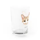 みきぞーん｜保護猫 ミッキー画伯と肉球とおともだちのram&rui Water Glass :left