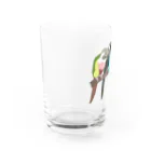 masumi maedaの寄り添う　ウロコインコ　 Water Glass :left