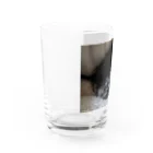 Soran-のくろいぽめぷー Water Glass :left