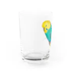 森図鑑の[森図鑑]セキセイインコレインボー Water Glass :left