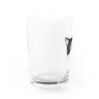 小鳥と映画館のいい顔のハチワレ猫 Water Glass :left