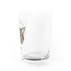 猫のイラスト屋さんのコハルさん　mikiZONE Water Glass :right