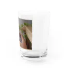 ルエールさんの無双shopのちぃちゃいルエールさん Water Glass :right