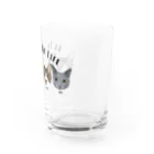 みきぞーん｜保護猫 ミッキー画伯と肉球とおともだちのmoo& chah & guri & ari  Water Glass :right