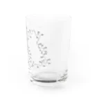 生肉のパリトキシン構造式 Water Glass :right