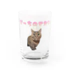 ぴーちのせかい🐱🍑のぴーちのガラスのコップ Water Glass :right