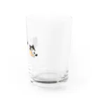 nyans_italiaのうちのネコちん Water Glass :right