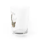 猫のイラスト屋さんのshin & kagu & gin Water Glass :right