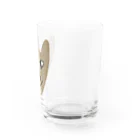 りのりのザウルスのイヌマッスル Water Glass :right