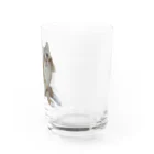 サクボウのめがくりくりのサックン Water Glass :right