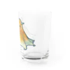 森図鑑の[森図鑑] メンダコ1匹バージョン Water Glass :right