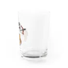 M's SHOPのいて座 Water Glass :right