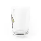 カメの歩みのアオウミガメ Water Glass :right