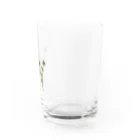 Ficusのエリンジューム Water Glass :right