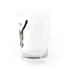 Siamese cat シャムのシャム猫海ちゃん Water Glass :right