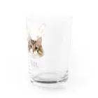 みきぞーん｜保護猫 ミッキー画伯と肉球とおともだちのrom & sol Water Glass :right