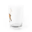 MrKShirtsのShika (シカ) 色デザイン Water Glass :right