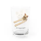 白玉ちゃんのおみせのおててないないとおててながいながい白玉ちゃん Water Glass :right