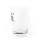 LittleLoroのどノーマルオカメインコとルチノーちょいわき 0350 Water Glass :right