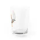 だが屋のおすましキンカ Water Glass :right