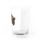 保護猫茶トラ兄弟LIFEの杏ちゃん Water Glass :right