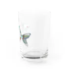 恒福水路のタイリクバラタナゴグラス Water Glass :right