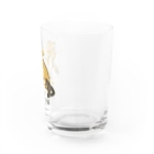 いぬころ｜変な犬図鑑のNo.136 ドライヤースキーヌ[2] 変な犬図鑑 Water Glass :right