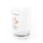 植物の絵師「洋子」の店の要注意外来生物_ワルナスビ Water Glass :right