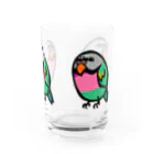 カゲトラのダルマインコのカゲトラさん（ギョリギョリ・トリオ） Water Glass :right