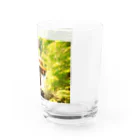 ハルティン<designed by an architect>のART×名建築 落水荘 Water Glass :right