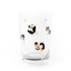 PYDの小柄タロトロ Water Glass :right
