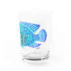 栗坊屋のナポレオンフィッシュ Water Glass :right